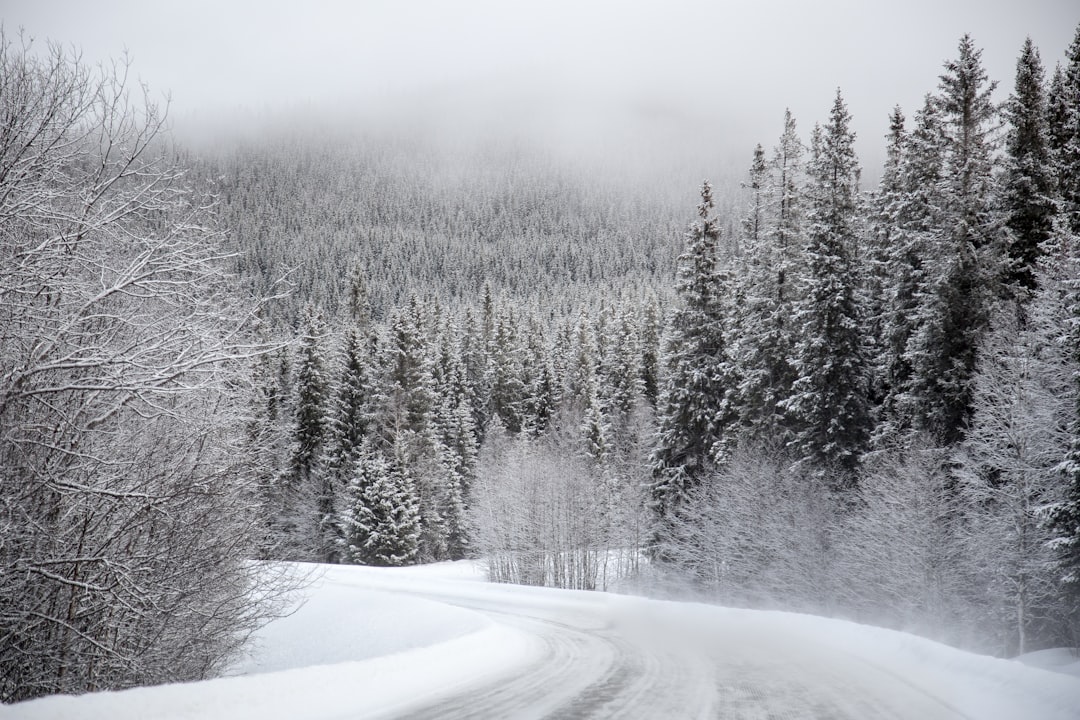 Car insurance policy comparison